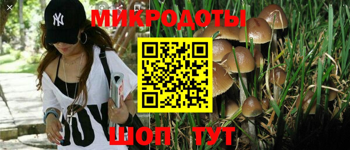 Нефтекамск  Псилоцибиновые грибы GOLDEN TEACHER  Вход с VPN 