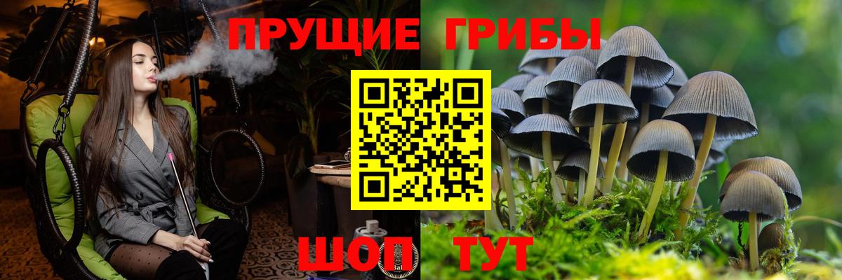 Галлюциногенные грибы мухоморы Нефтекамск
